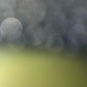 Meet your Posher, Obed